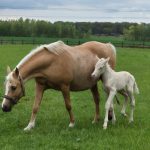 WhatsApp Bild 2025-06-04 um 20.15.55_33062ac2