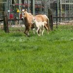 WhatsApp Bild 2025-06-04 um 20.15.55_7cd0ac04