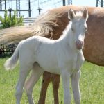 WhatsApp Bild 2025-06-04 um 20.15.57_13b74f91