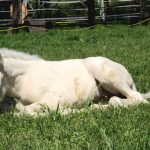 WhatsApp Bild 2025-06-04 um 20.15.57_9e49655e