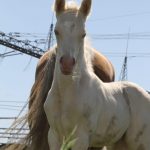 WhatsApp Bild 2025-06-04 um 20.15.58_6dc7bc7d