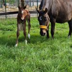 WhatsApp Bild 2025-06-04 um 20.20.47_b69794f1