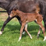 WhatsApp Bild 2025-06-04 um 20.20.47_e5be6495