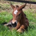 WhatsApp Bild 2025-06-04 um 20.20.48_6d0b4e26