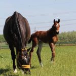 WhatsApp Bild 2025-06-04 um 20.20.49_25b73628