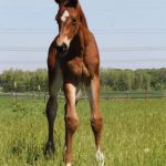 WhatsApp Bild 2025-06-04 um 20.20.50_af6d1944