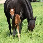 WhatsApp Bild 2025-06-04 um 20.24.02_95c98128