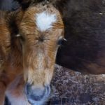 WhatsApp Bild 2025-06-04 um 20.24.03_b2cbb00e