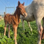 WhatsApp Image 2026-02-13 at 20.14.13 (1)