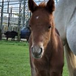 WhatsApp Image 2026-02-13 at 20.14.13 (2)