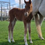 WhatsApp Image 2026-02-13 at 20.14.13 (3)