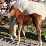 WhatsApp Image 2026-02-13 at 20.14.13 (4)