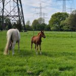 WhatsApp Image 2026-02-13 at 20.14.14 (1)