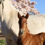 WhatsApp Image 2026-02-13 at 20.14.14