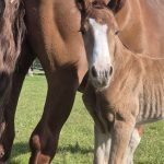 WhatsApp Image 2026-02-14 at 12.49.03