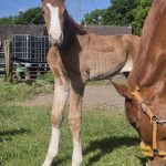 WhatsApp Image 2026-02-14 at 12.49.03 (2)