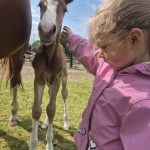 WhatsApp Image 2026-02-14 at 12.49.04 (1)