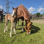 WhatsApp Image 2026-02-14 at 12.49.04