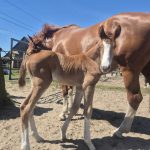 WhatsApp Image 2026-02-14 at 12.49.04 (2)