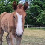 WhatsApp Image 2026-02-14 at 12.49.05