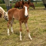 WhatsApp Image 2026-02-14 at 12.49.05 (2)