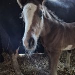 WhatsApp Image 2026-02-14 at 12.49.19 (1)