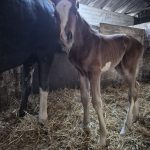 WhatsApp Image 2026-02-14 at 12.49.19