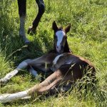 WhatsApp Image 2026-02-14 at 12.49.19 (2)