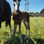 WhatsApp Image 2026-02-14 at 12.49.20 (1)