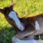 WhatsApp Image 2026-02-14 at 12.49.20