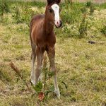 WhatsApp Image 2026-02-14 at 12.49.20 (3)