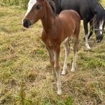 WhatsApp Image 2026-02-14 at 12.49.20 (4)